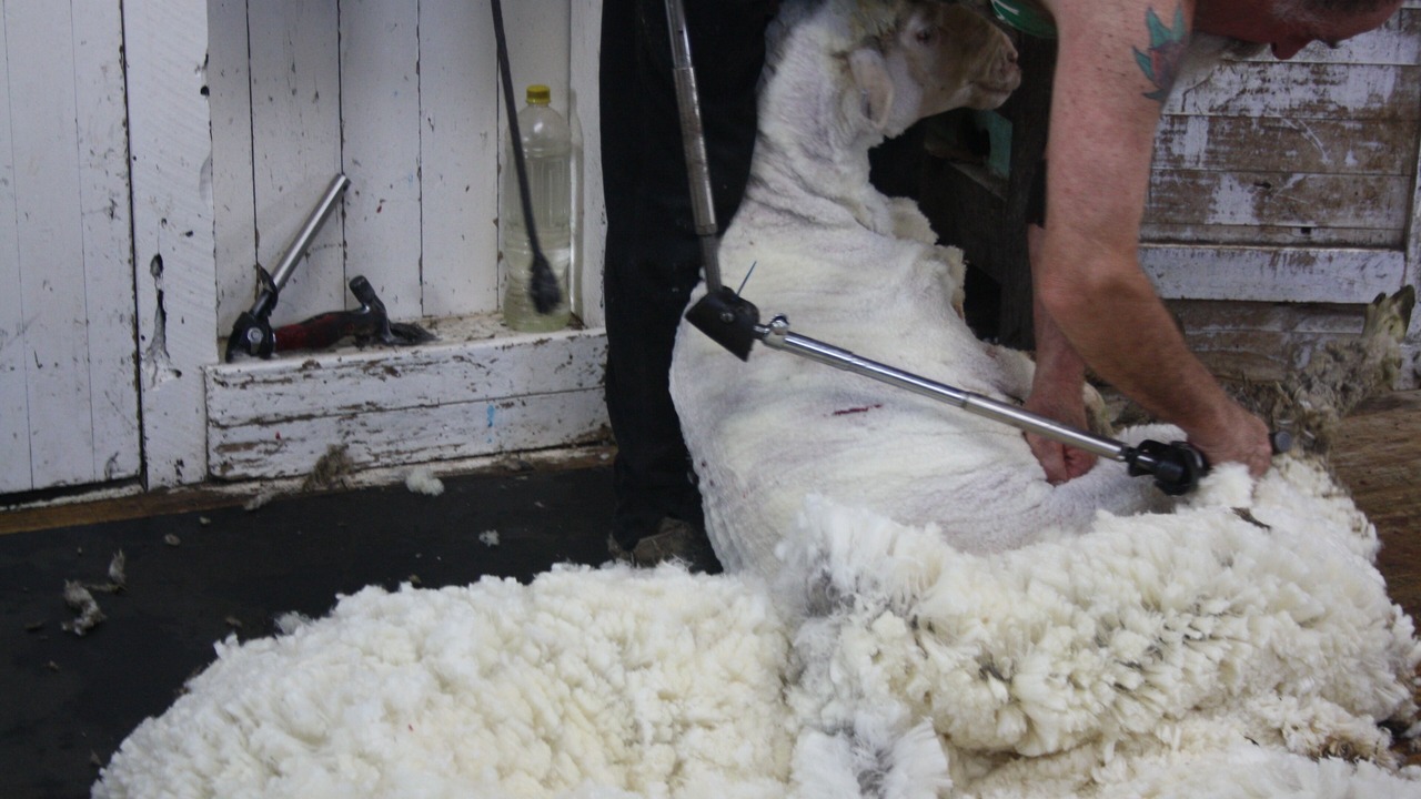 Photo of Others in Tungkillo