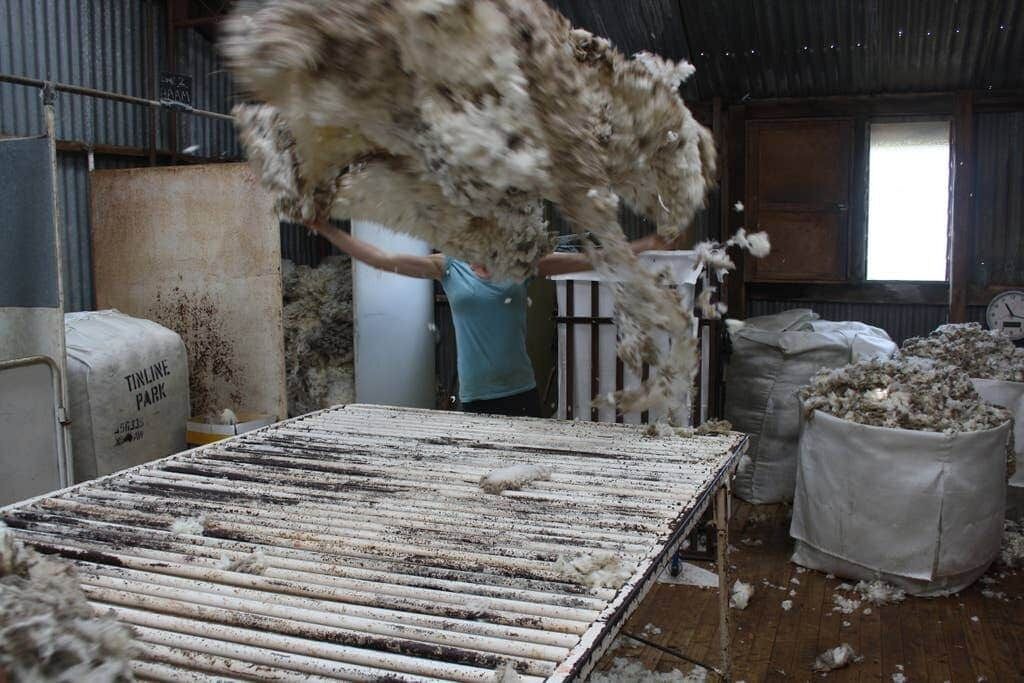 Photo of Others in Tungkillo