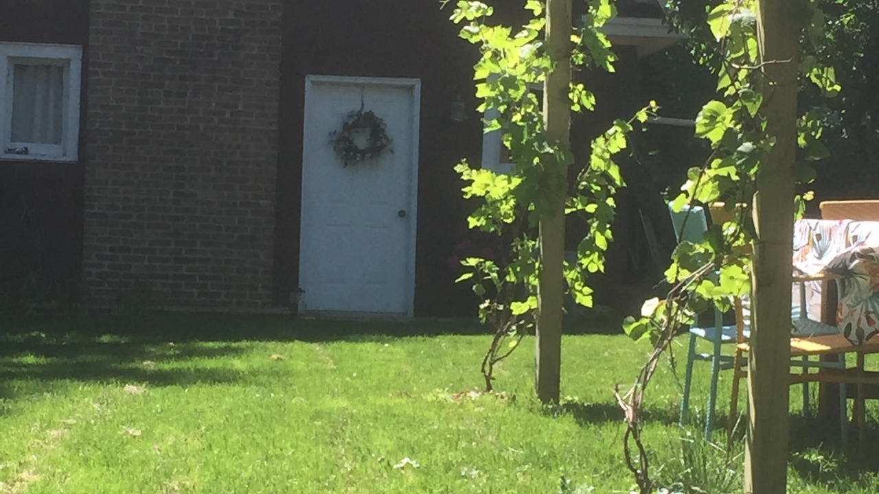 Photo of Outdoor in Wheaton