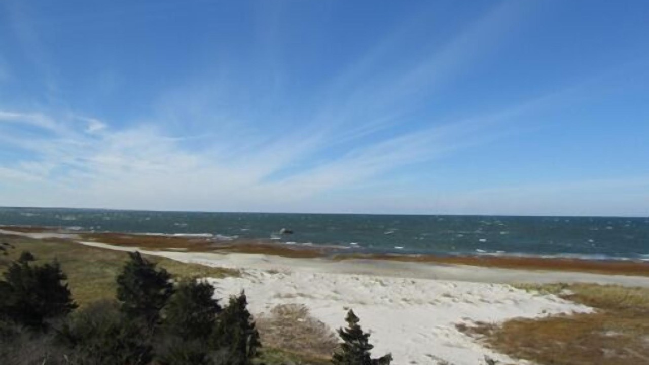 Photo of Others in Eastham