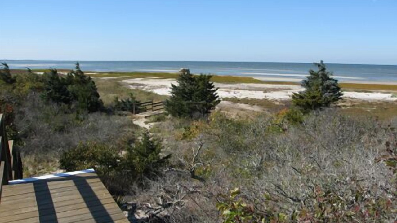 Photo of Others in Eastham