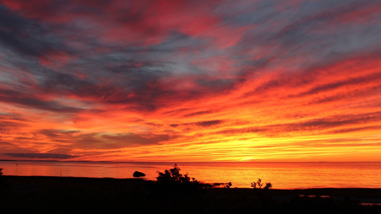 Photo of Others in Eastham