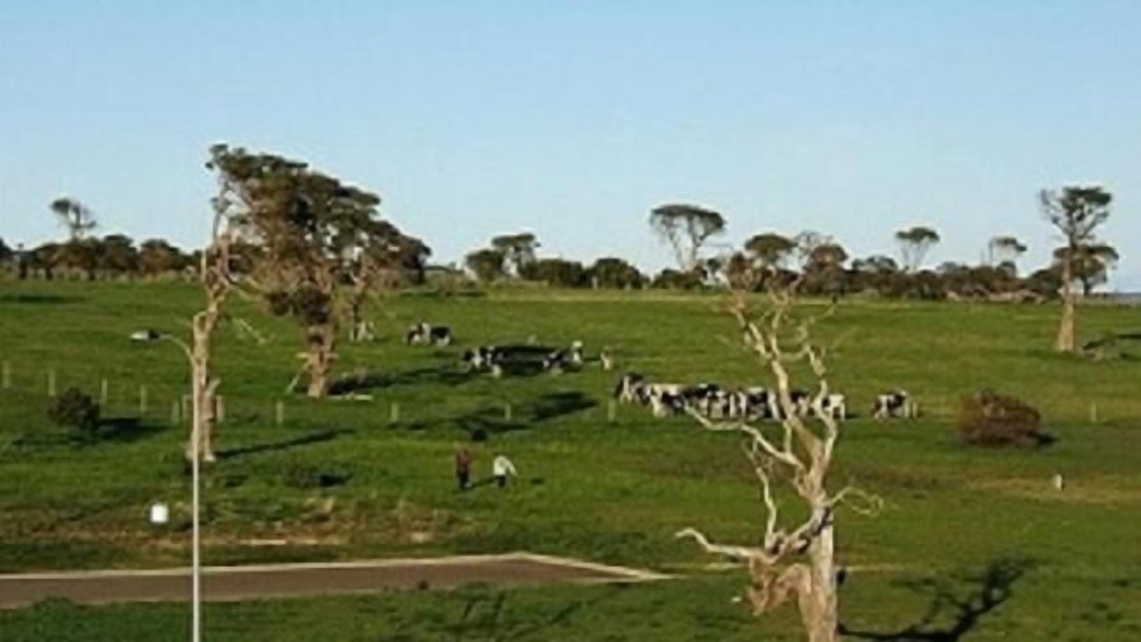 Photo of Others in Cape Jervis