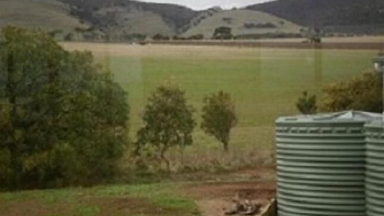 Photo of Others in Cape Jervis