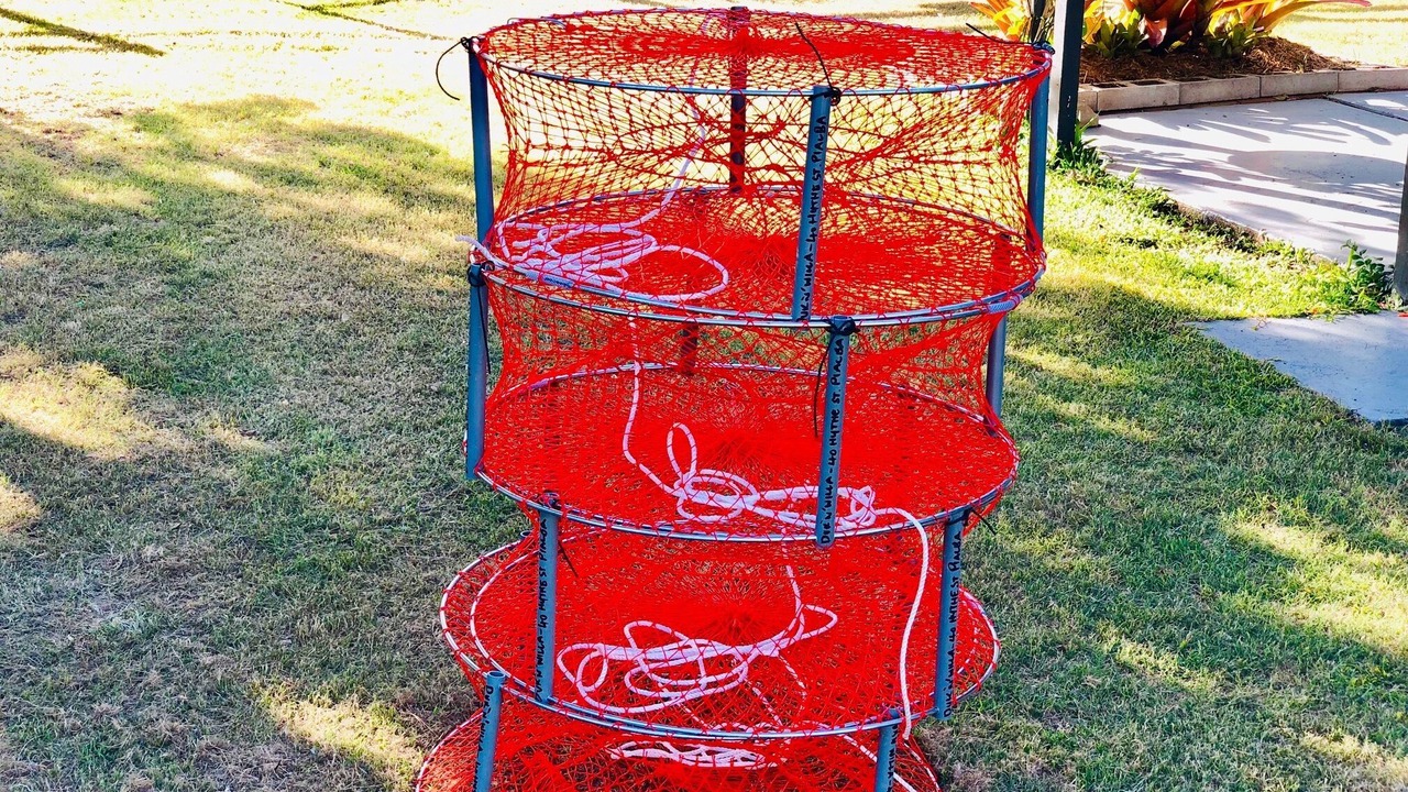 Photo of Others in Pialba