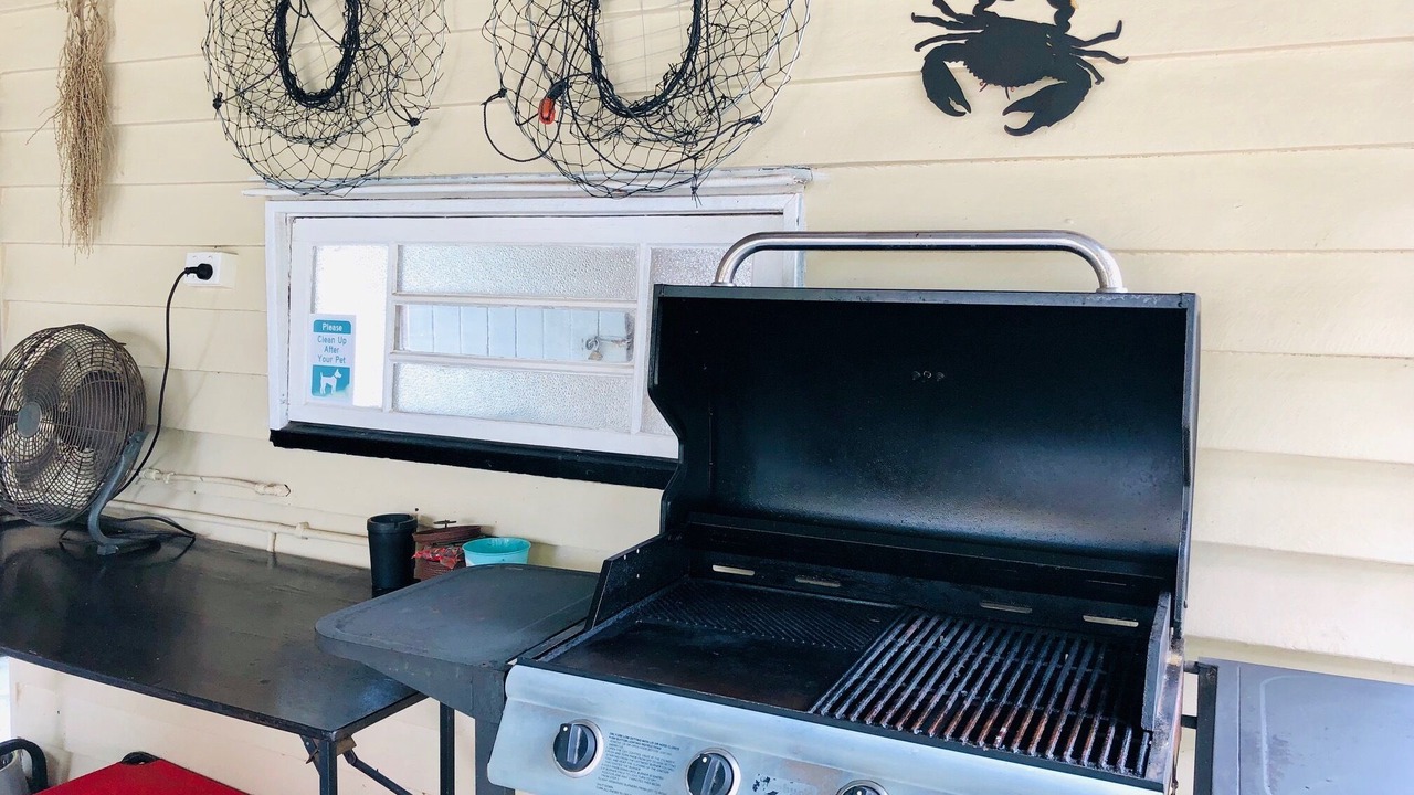 Photo of Others in Pialba