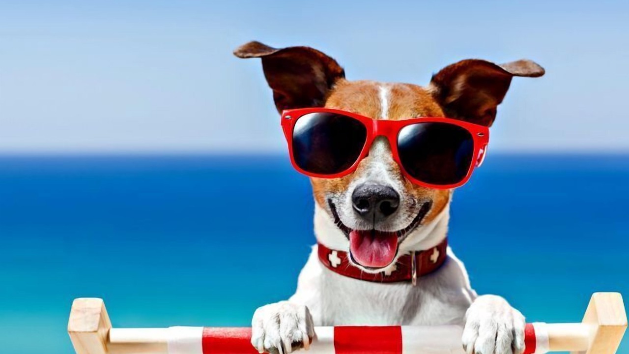 Photo of Others in Pialba