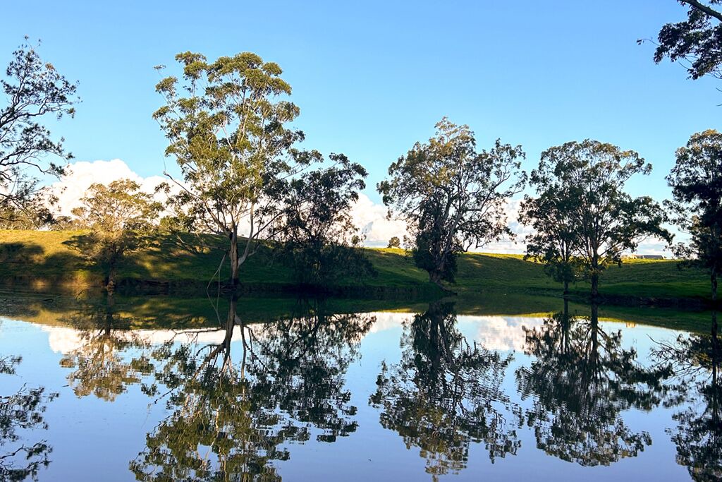 Photo of Others in Hunter Valley