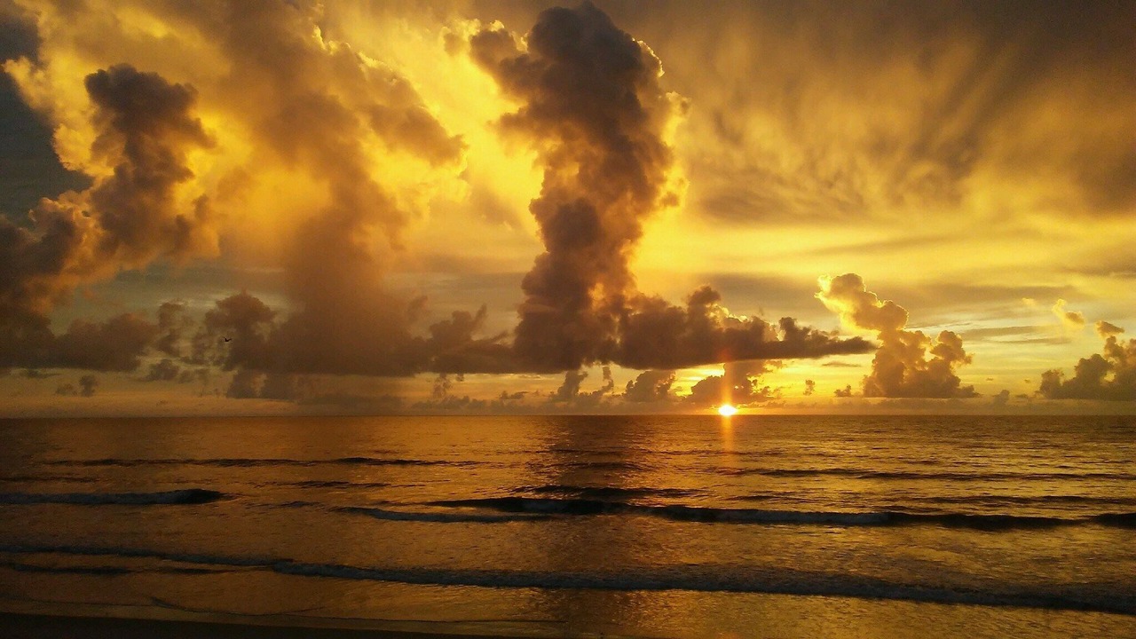 Photo of Others in Melbourne Beach