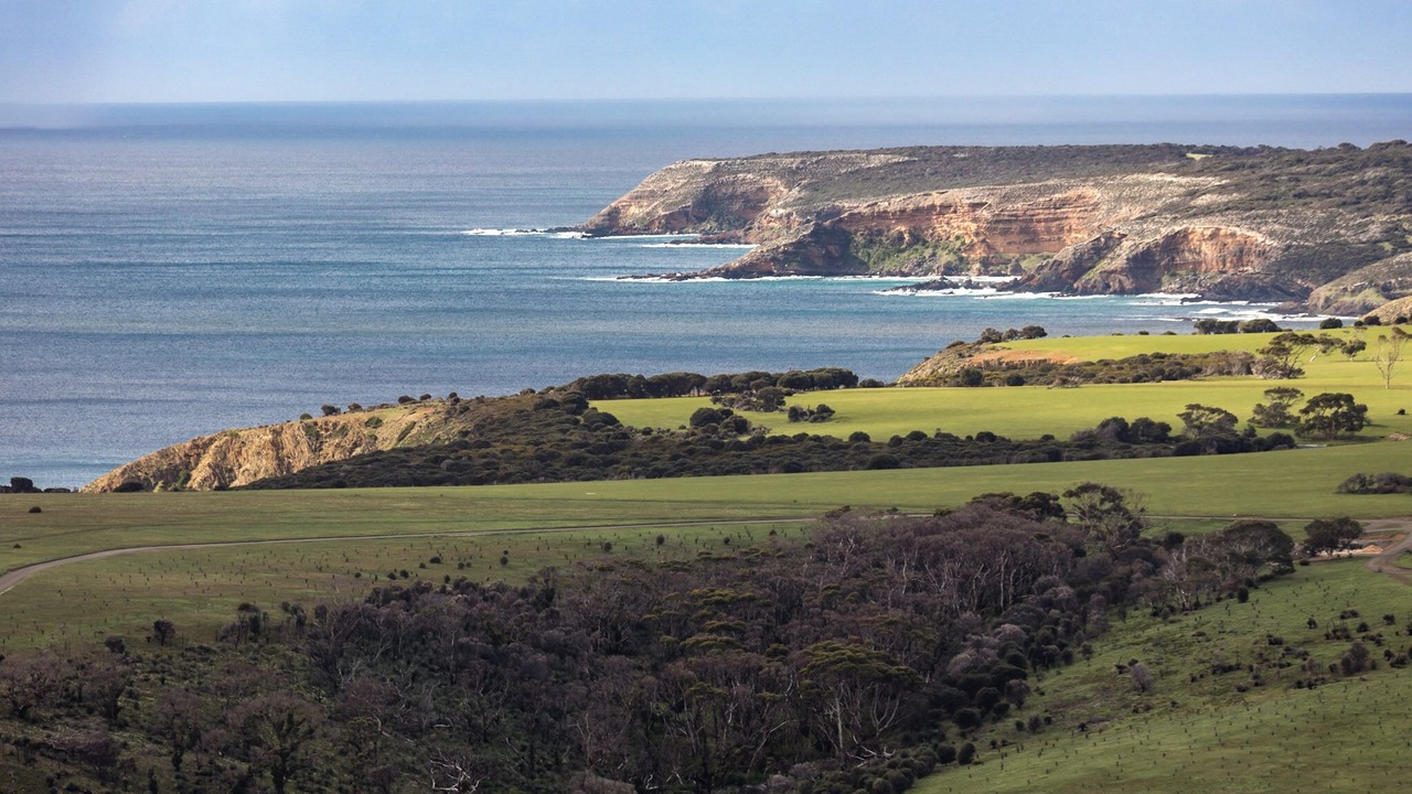 Photo of Others in Duncan