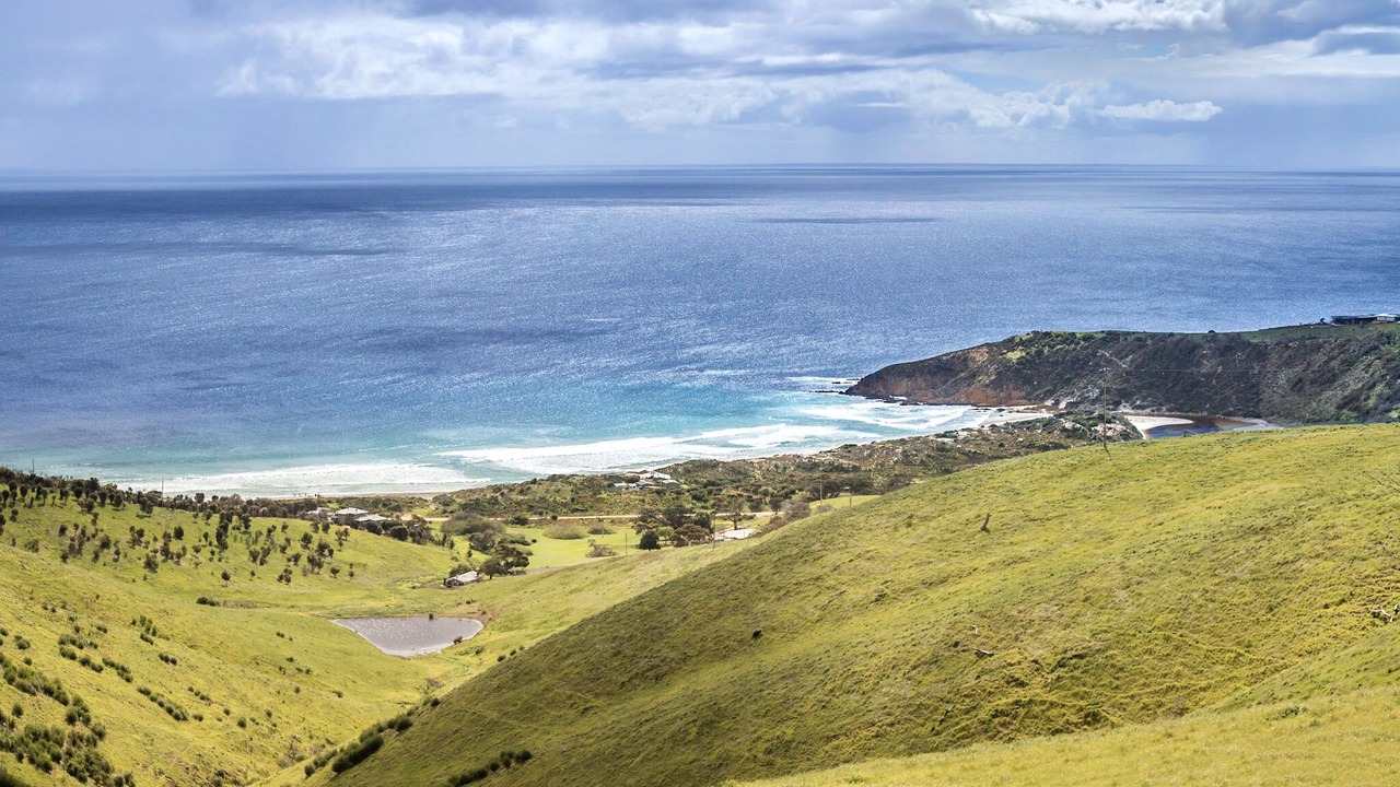 Photo of Others in Duncan