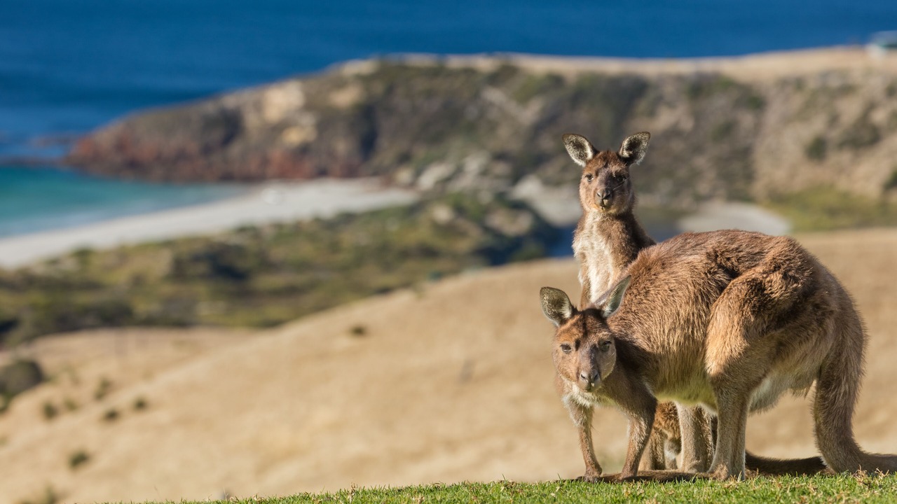 Photo of Others in Duncan