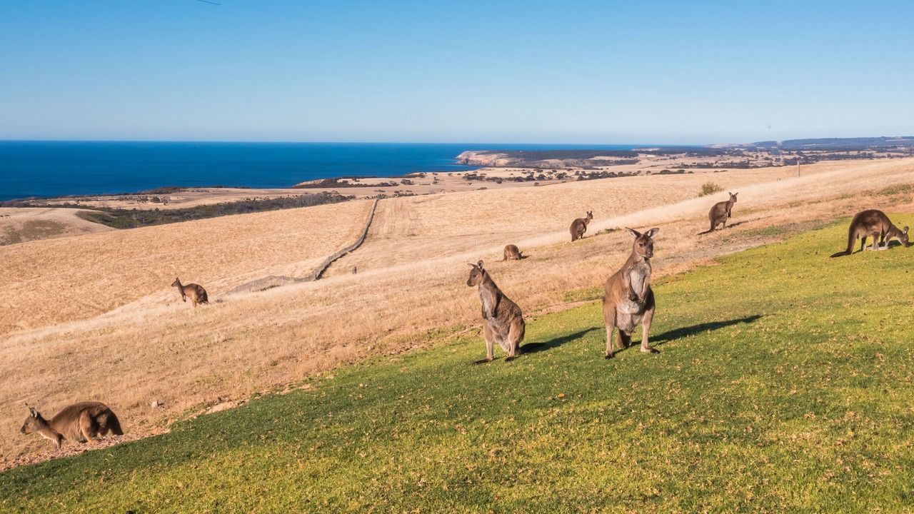 Photo of Outdoor in Duncan