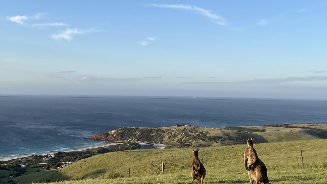 Photo of Others in Duncan