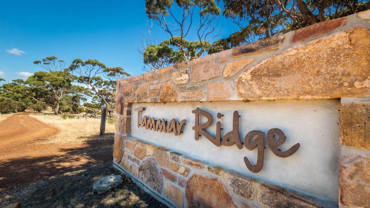 Photo of Others in Duncan