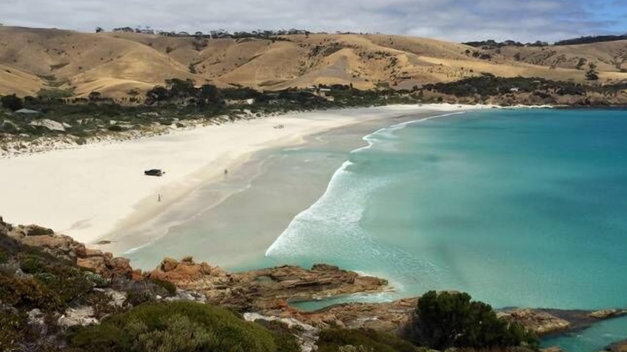 Photo of Others in Duncan