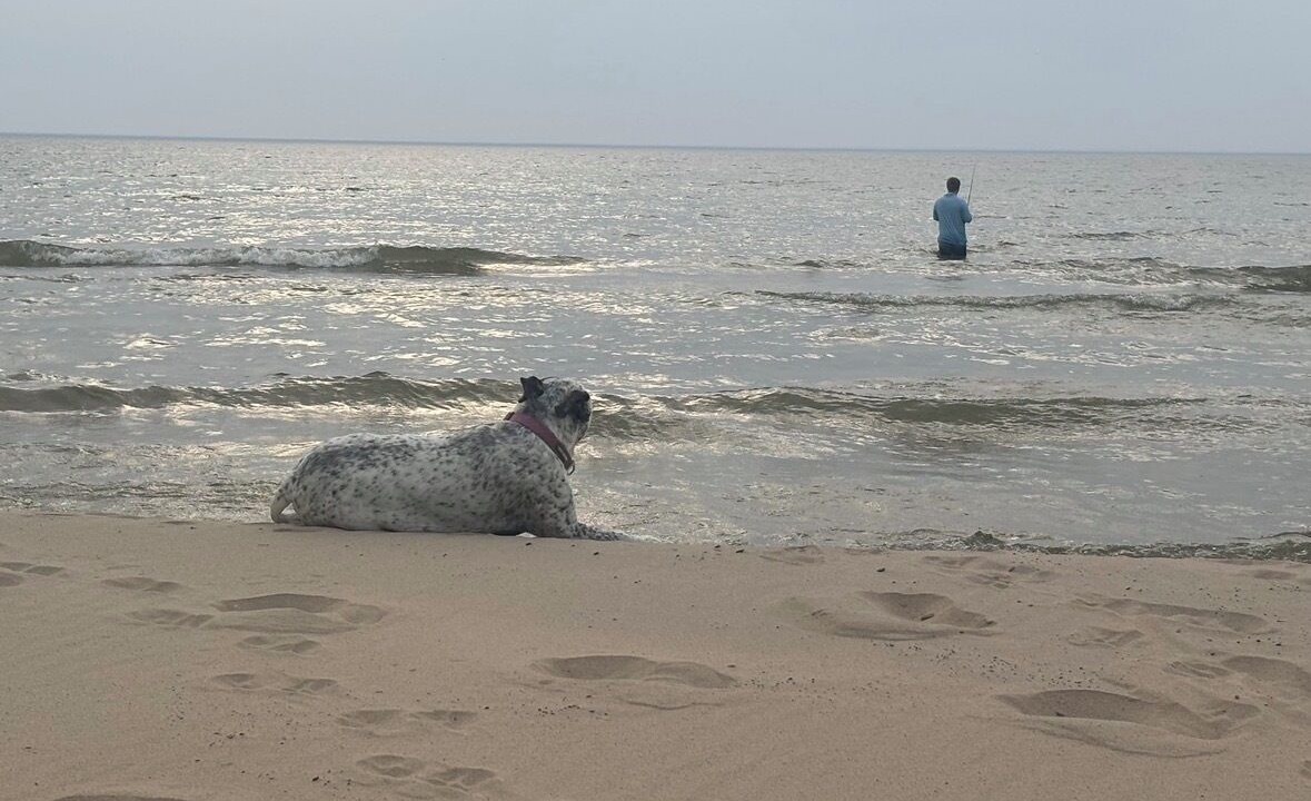 Photo of Others in Lake Michigan Beach