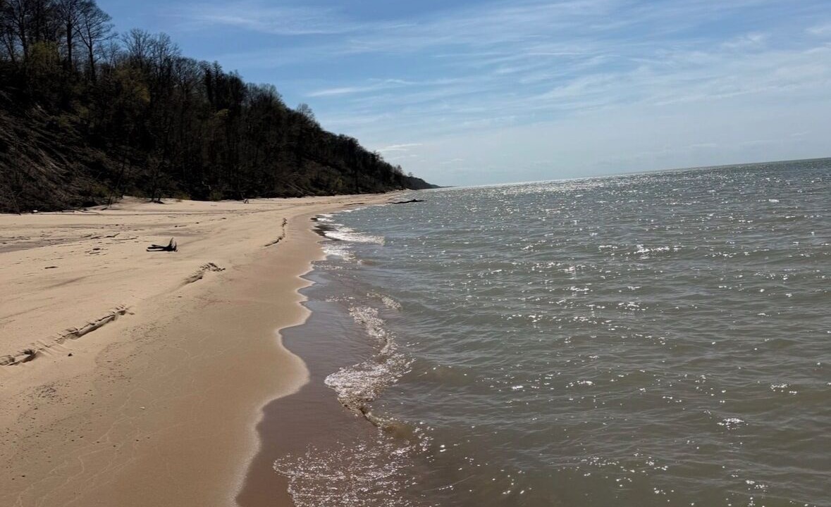 Photo of Others in Lake Michigan Beach