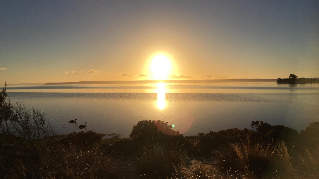 Photo of Others in American River