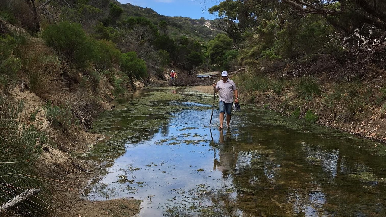 Photo of Others in American River