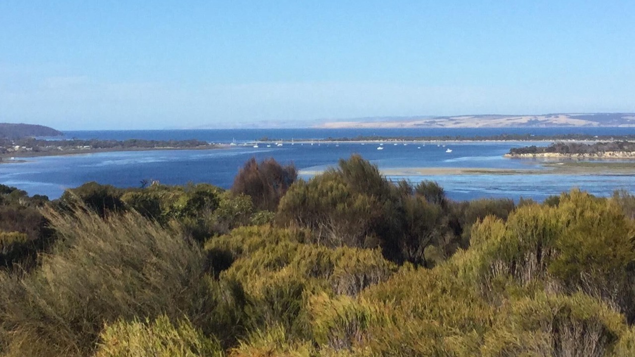 Photo of Others in American River