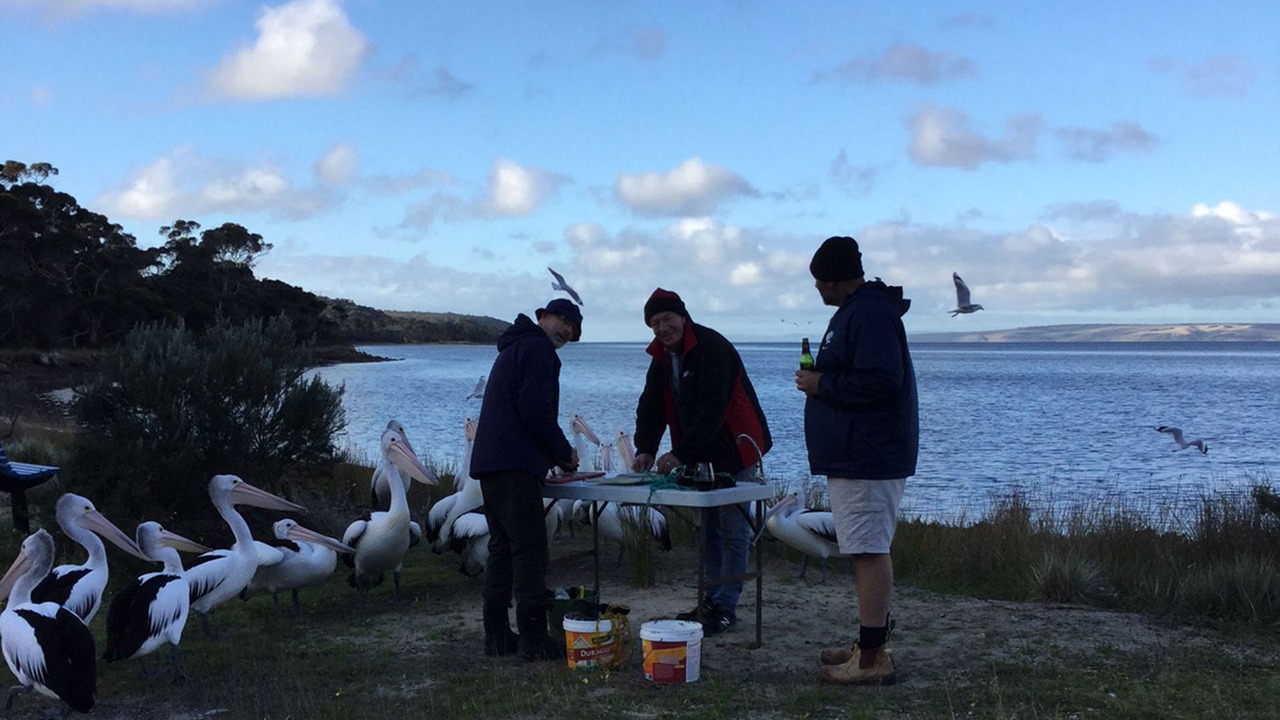 Photo of Outdoor in American River