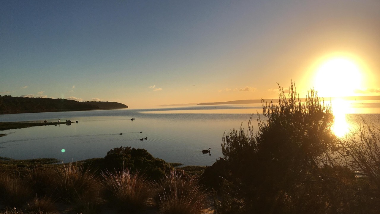 Photo of Others in American River