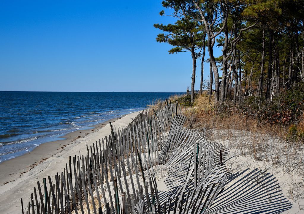 Photo of Others in Bay Ridge