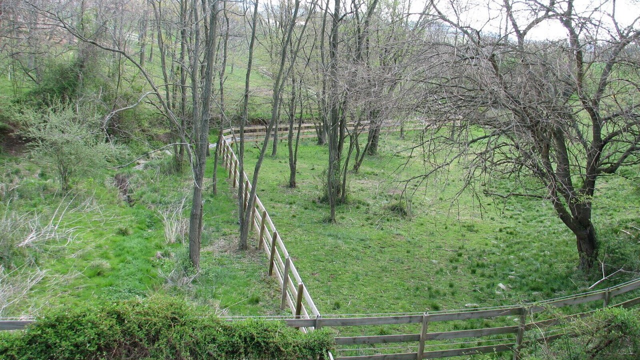 Photo of Outdoor in Middletown