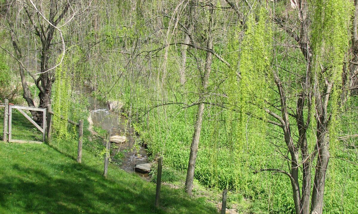 Photo of Outdoor in Middletown