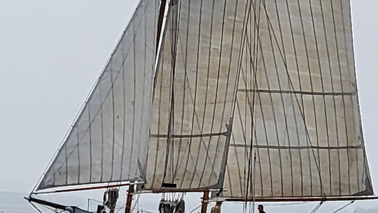 Photo of Others in Spruce Head