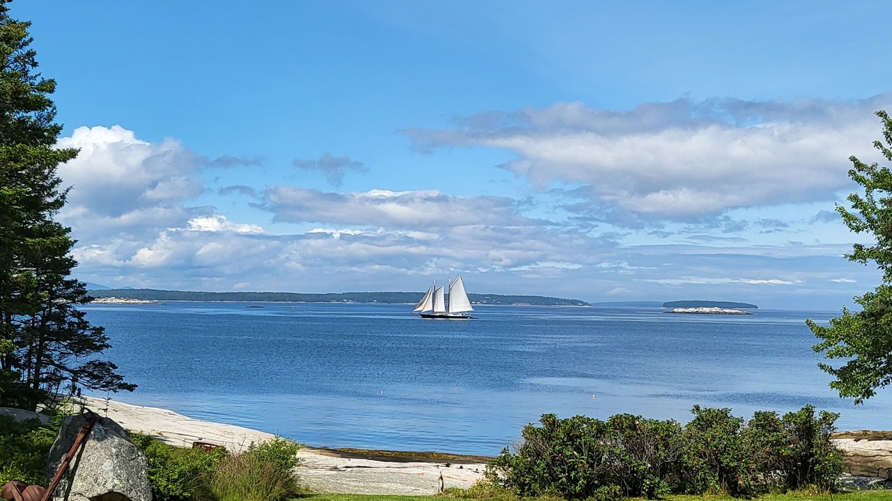 Photo of Others in Spruce Head