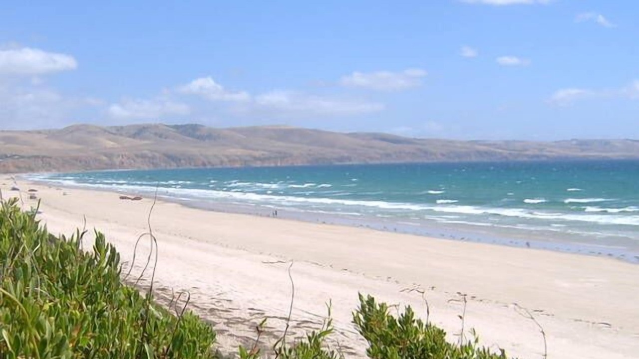 Photo of Others in Silver Sands