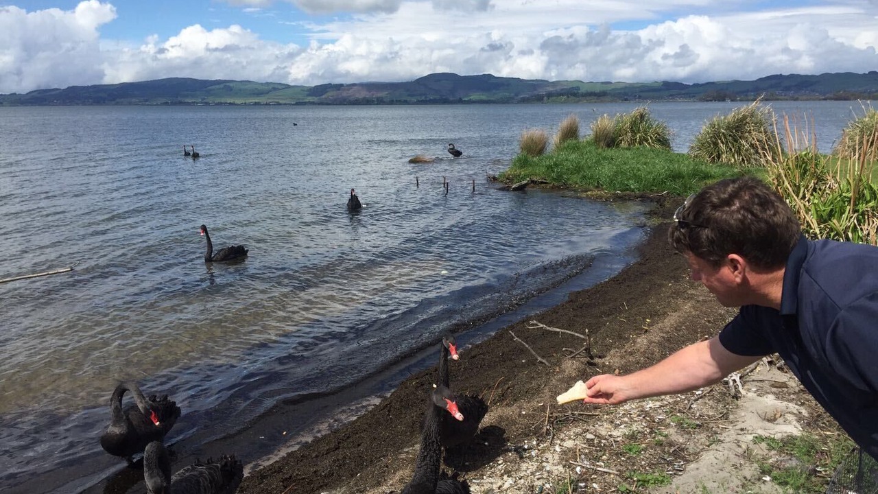 Photo of Others in Kawaha Point