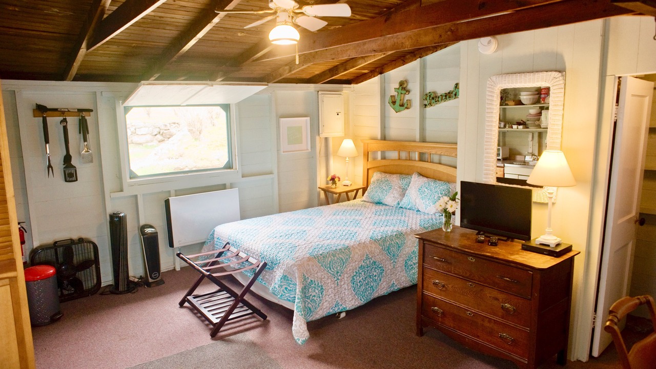 Photo of Others in Bristol