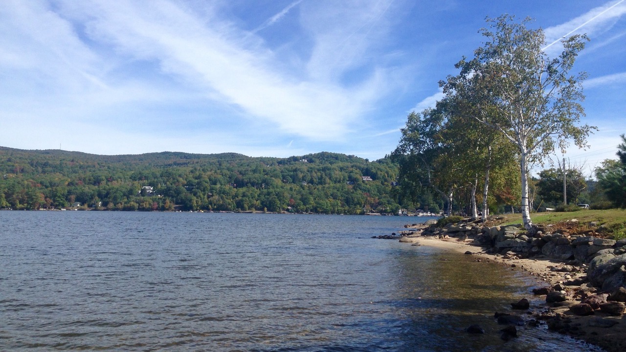 Photo of Others in Bristol