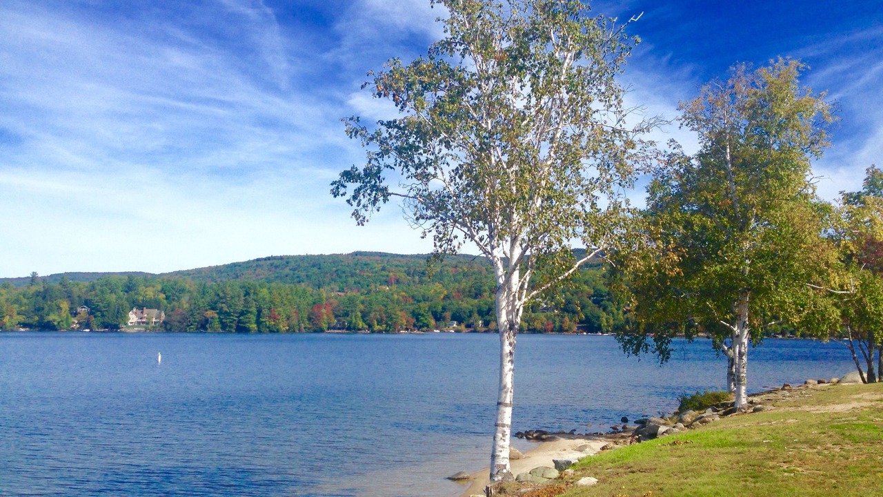 Photo of Others in Bristol