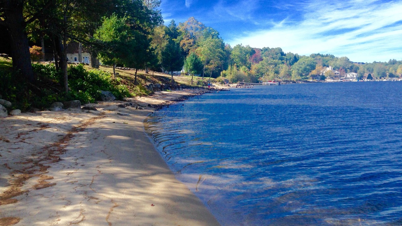 Photo of Others in Bristol