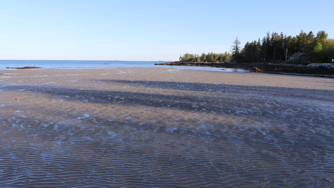 Photo of Others in Port Clyde