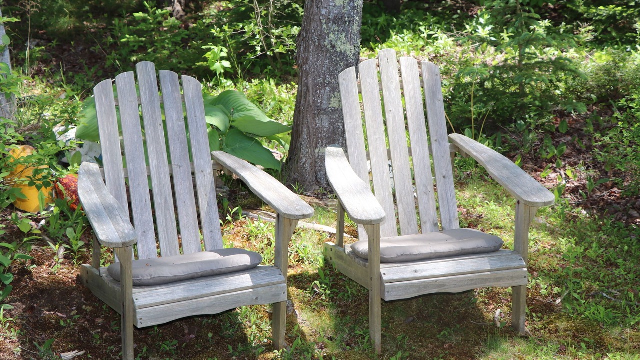 Photo of Outdoor in Port Clyde