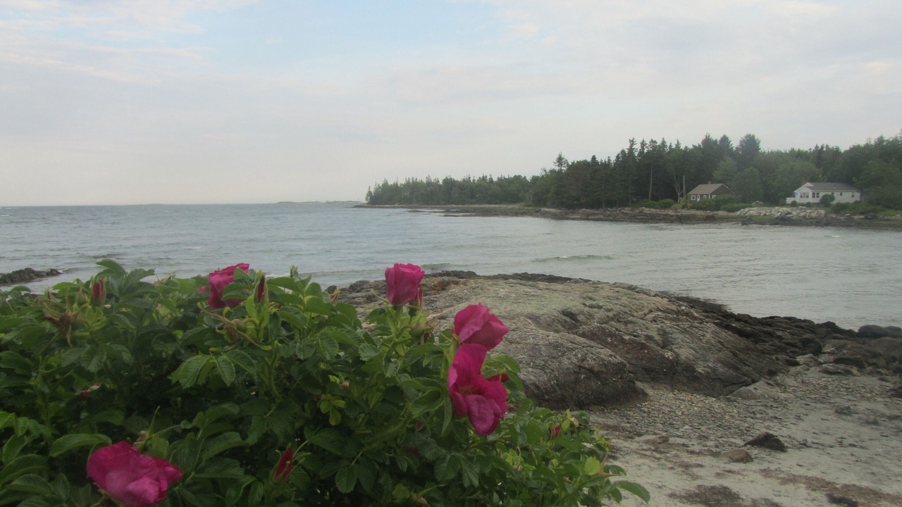 Photo of Outdoor in Port Clyde