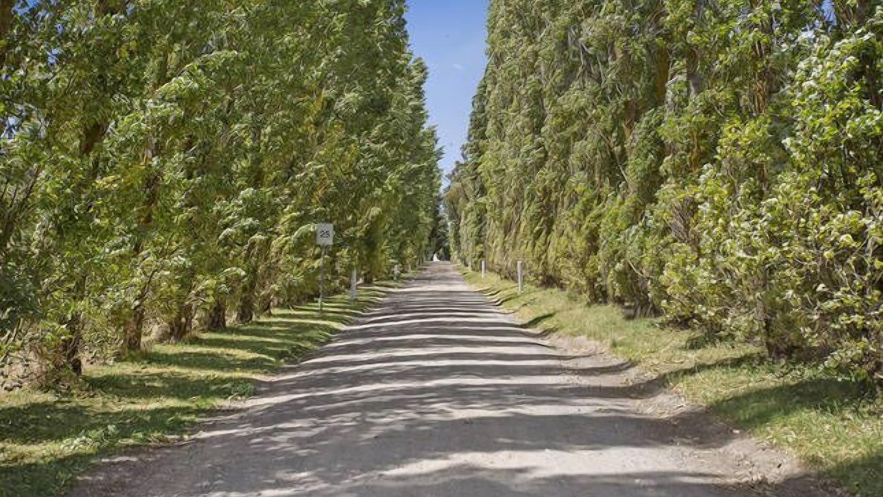 Photo of Outdoor in Seville