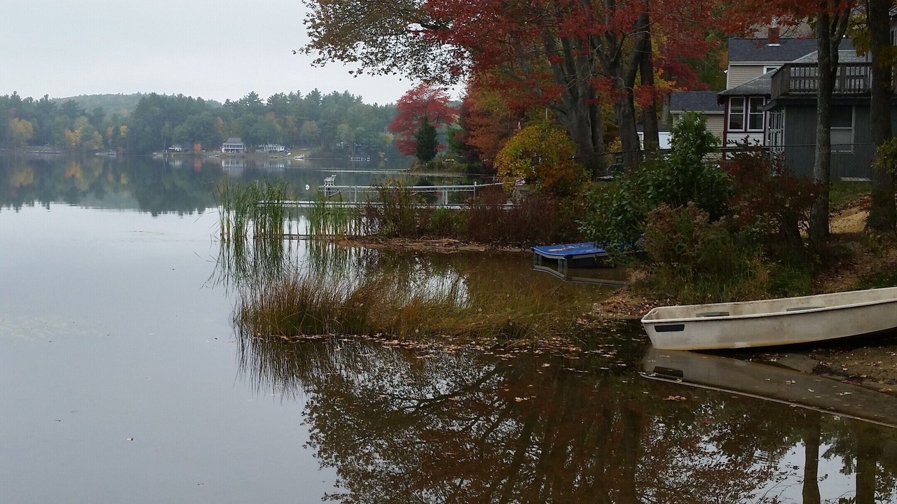 Photo of Others in Sandown