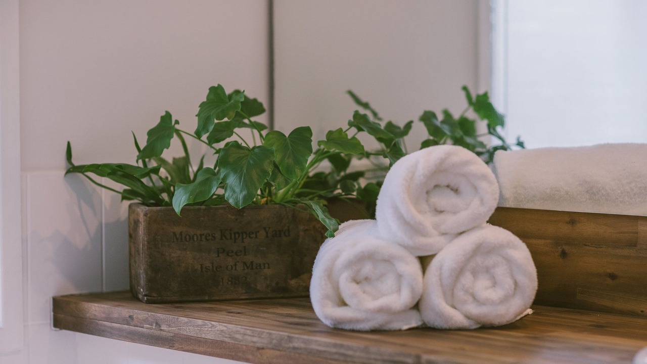 Photo of Others in Fitzroy Falls