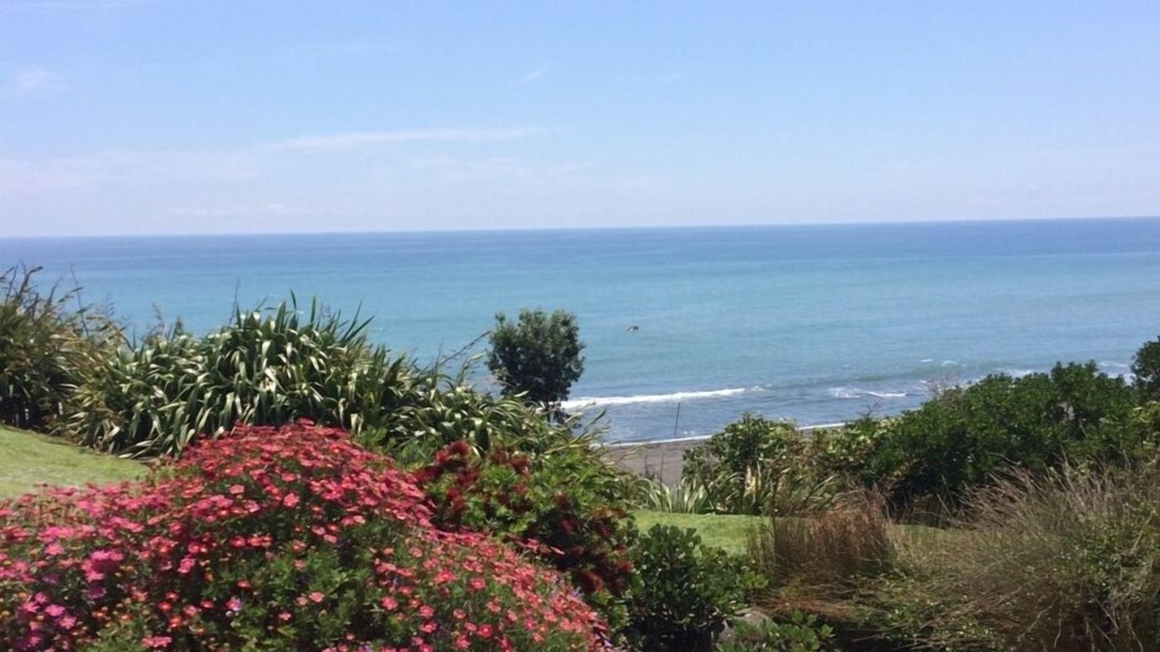 Photo of Others in Pitone