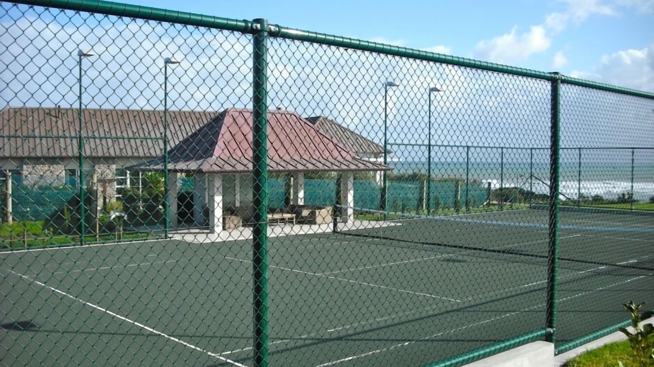 Photo of Others in Pitone