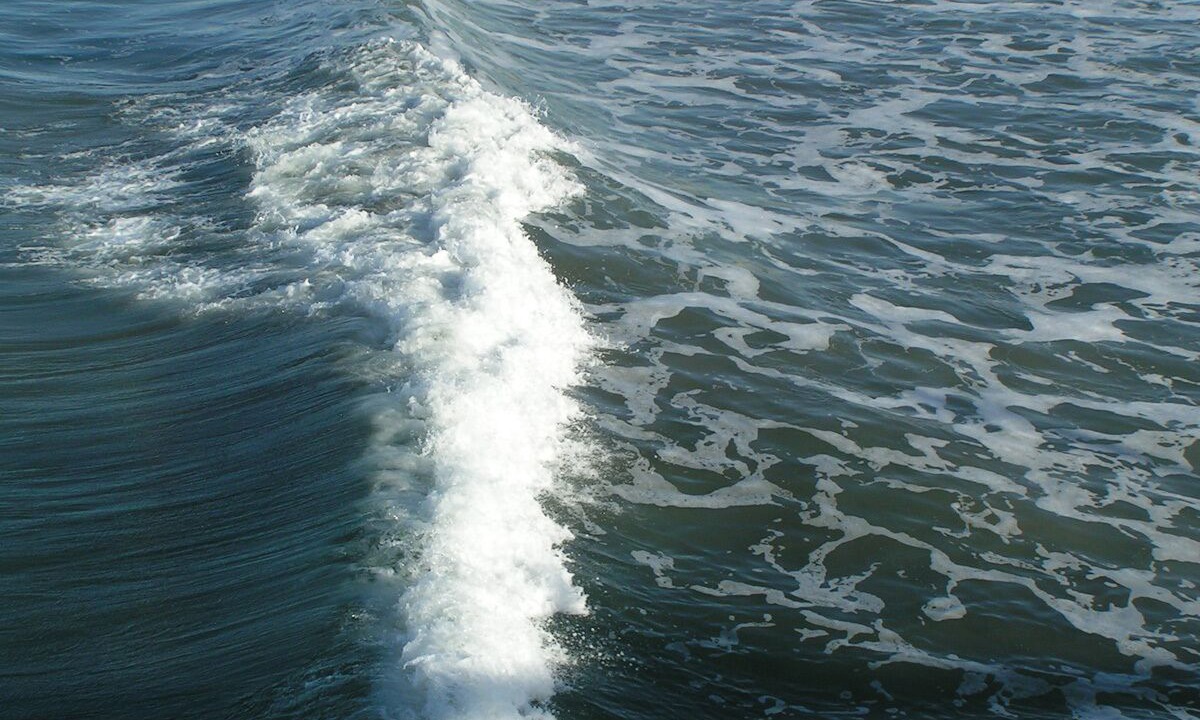 Photo of Outdoor in Imperial Beach