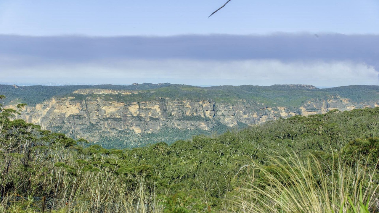 Photo of Outdoor in Blackheath