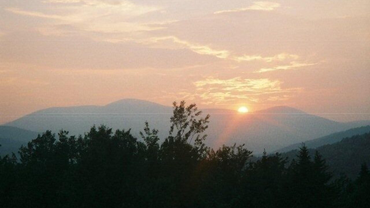 Photo of Others in Errol