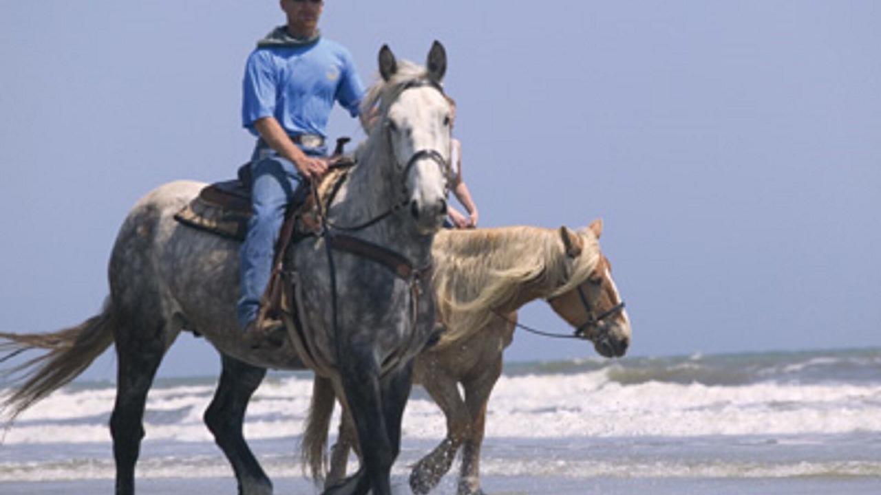 Photo of Others in Ocean Park